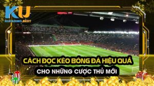 Cách đọc kèo bóng đá hiệu quả chuẩn xác nhất