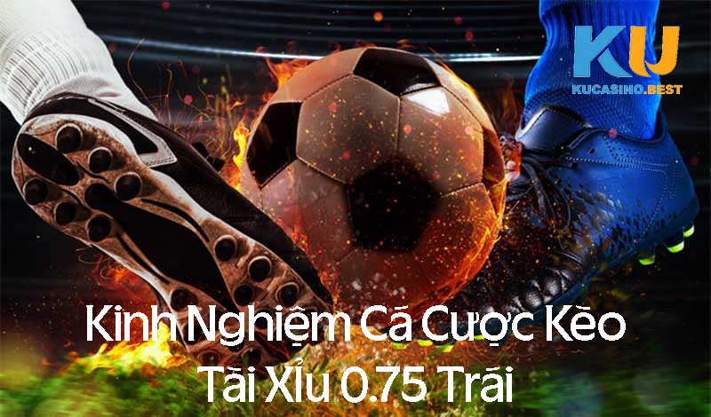 Kinh nghiệm soi kèo tài xỉu 0.75 trái luôn thắng